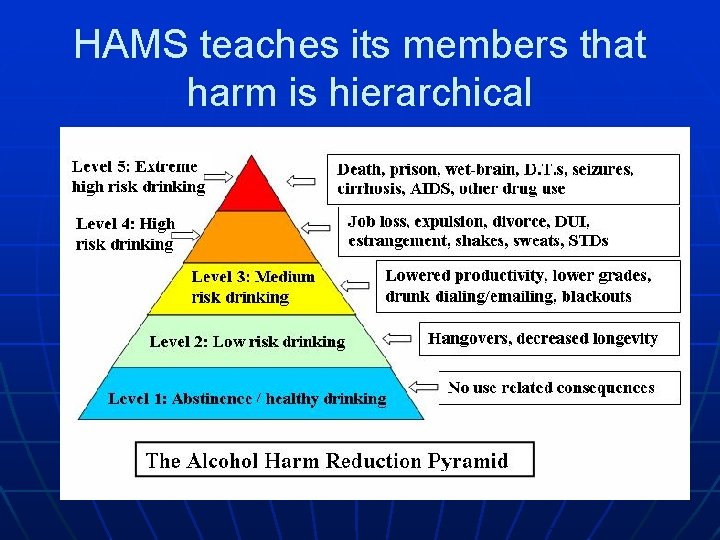 HAMS teaches its members that harm is hierarchical 