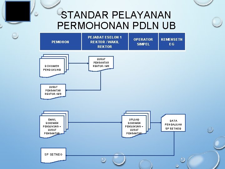 STANDAR PELAYANAN PERMOHONAN PDLN UB PEMOHON DOKUMEN PENDUKUNG PEJABAT ESELON 1 REKTOR / WAKIL