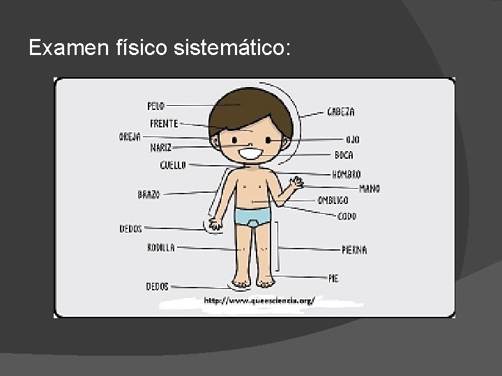 Examen físico sistemático: 