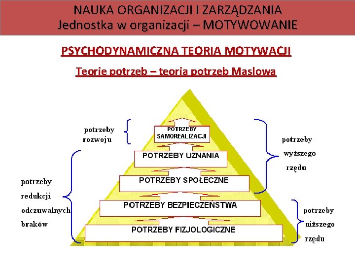 NAUKA ORGANIZACJI I ZARZĄDZANIA Jednostka w organizacji – MOTYWOWANIE PSYCHODYNAMICZNA TEORIA MOTYWACJI Teorie potrzeb