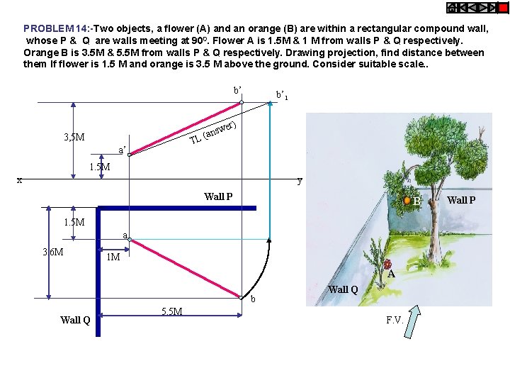 PROBLEM 14: -Two objects, a flower (A) and an orange (B) are within a