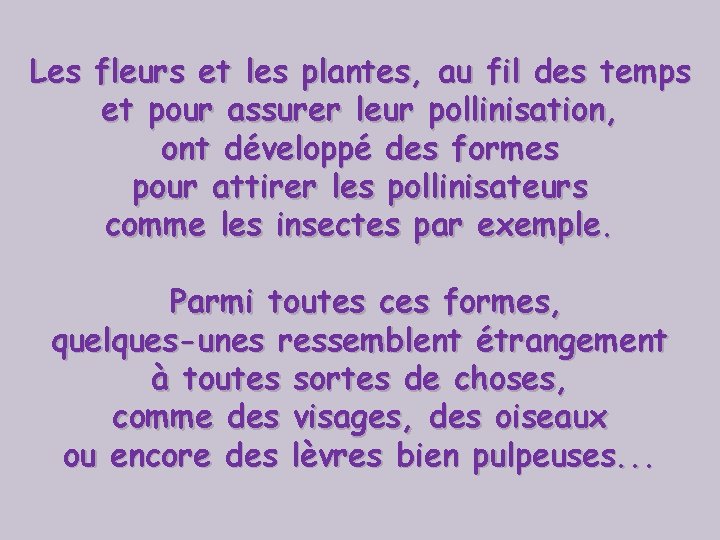 Les fleurs et les plantes, au fil des temps et pour assurer leur pollinisation,