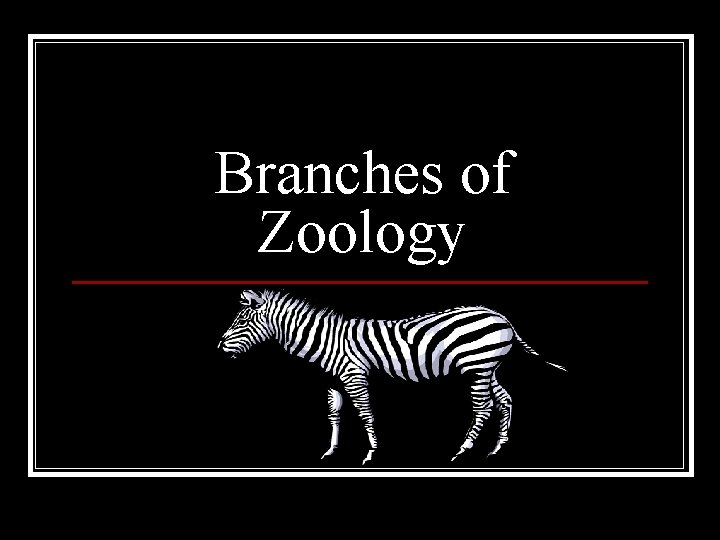 Branches of Zoology 