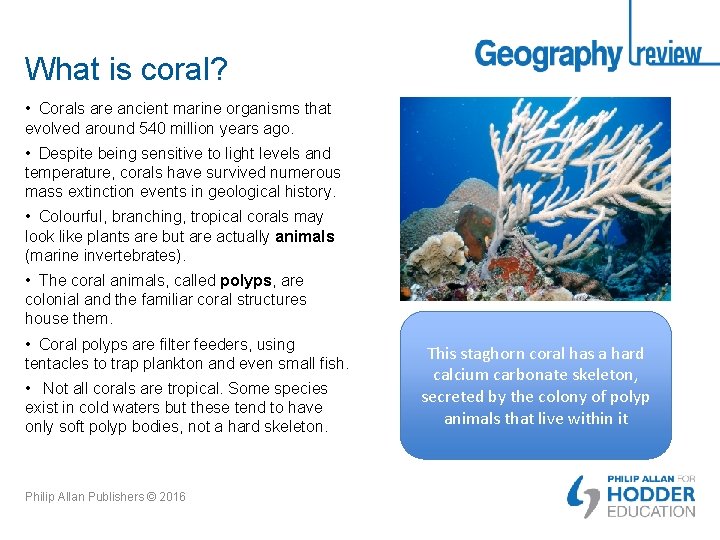 What is coral? • Corals are ancient marine organisms that evolved around 540 million