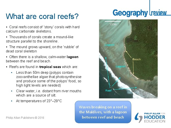 What are coral reefs? • Coral reefs consist of ‘stony’ corals with hard calcium