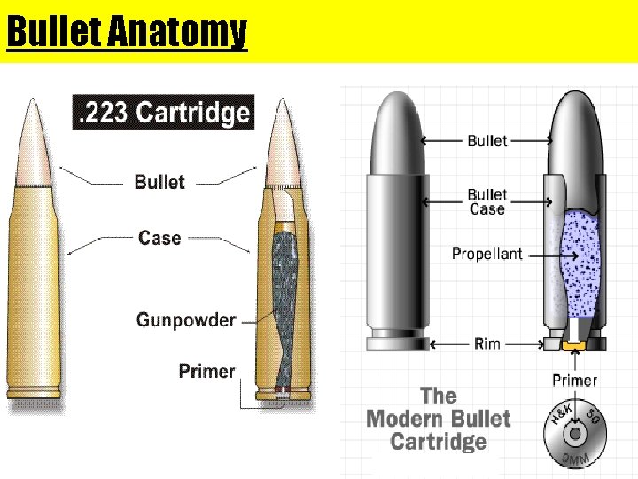 Bullet Anatomy 