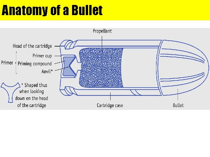 Anatomy of a Bullet 