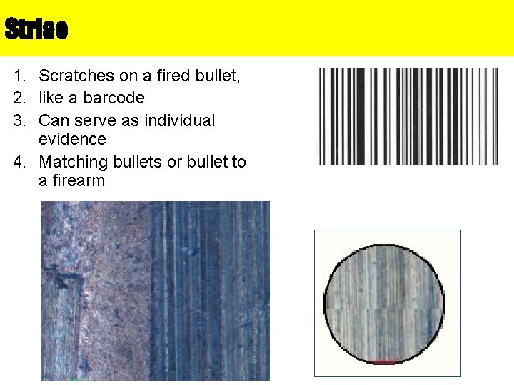 Striae 1. Scratches on a fired bullet, 2. like a barcode 3. Can serve