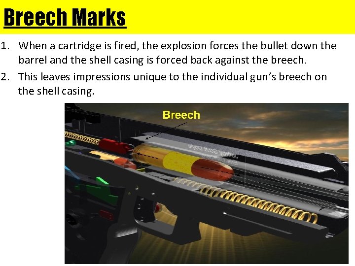 Breech Marks 1. When a cartridge is fired, the explosion forces the bullet down