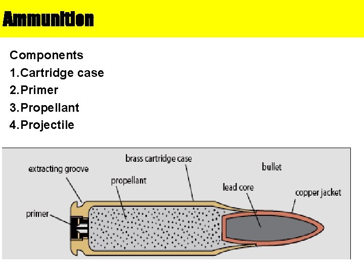 Ammunition Components 1. Cartridge case 2. Primer 3. Propellant 4. Projectile 