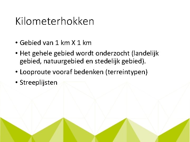 Kilometerhokken • Gebied van 1 km X 1 km • Het gehele gebied wordt