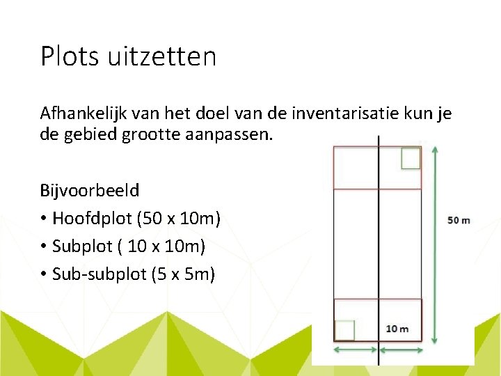 Plots uitzetten Afhankelijk van het doel van de inventarisatie kun je de gebied grootte