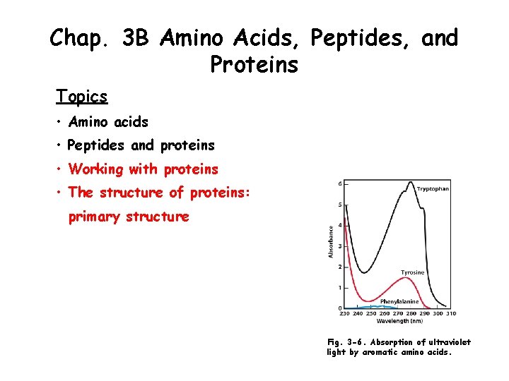 Chap. 3 B Amino Acids, Peptides, and Proteins Topics • Amino acids • Peptides