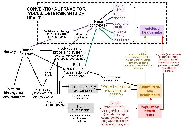 CONVENTIONAL FRAME FOR ‘SOCIAL DETERMINANTS OF HEALTH’ Social norms, ideology, knowledge; socioeconomic equity History