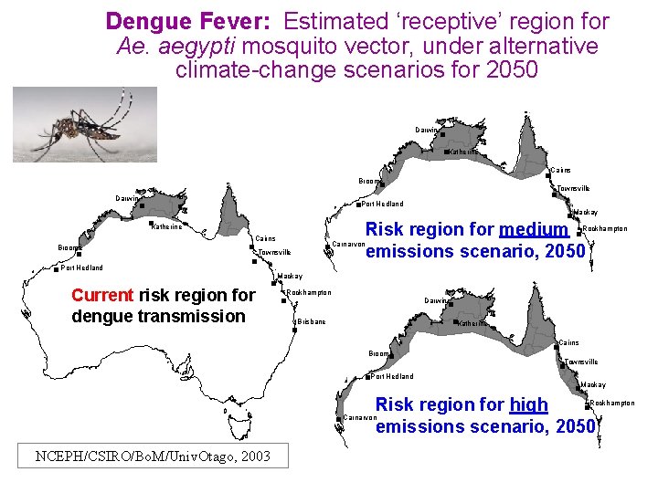 Dengue Fever: Estimated ‘receptive’ region for Ae. aegypti mosquito vector, under alternative climate-change scenarios