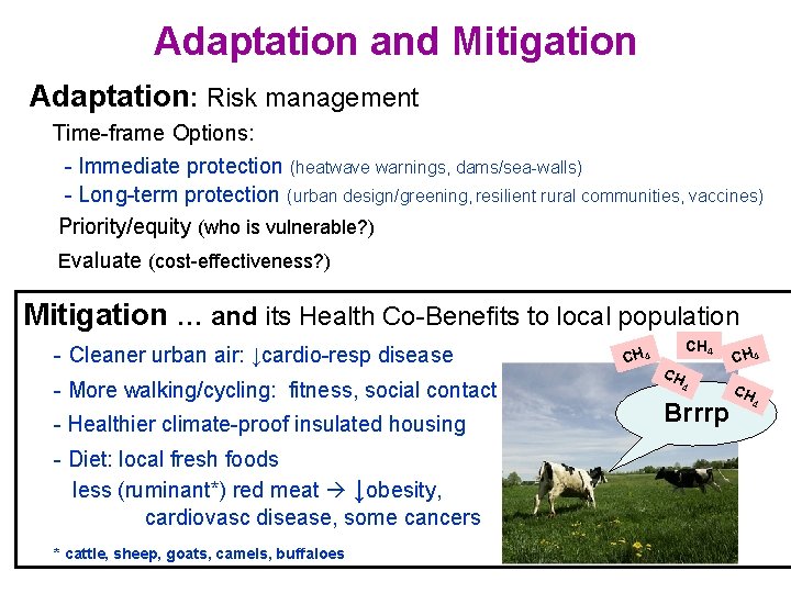 Adaptation and Mitigation Adaptation: Risk management Time-frame Options: - Immediate protection (heatwave warnings, dams/sea-walls)