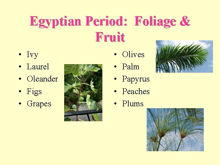 Egyptian Period: Foliage & Fruit • • • Ivy Laurel Oleander Figs Grapes •
