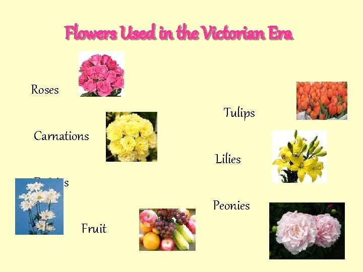 Flowers Used in the Victorian Era Roses Tulips Carnations Lilies Daisies Peonies Fruit 