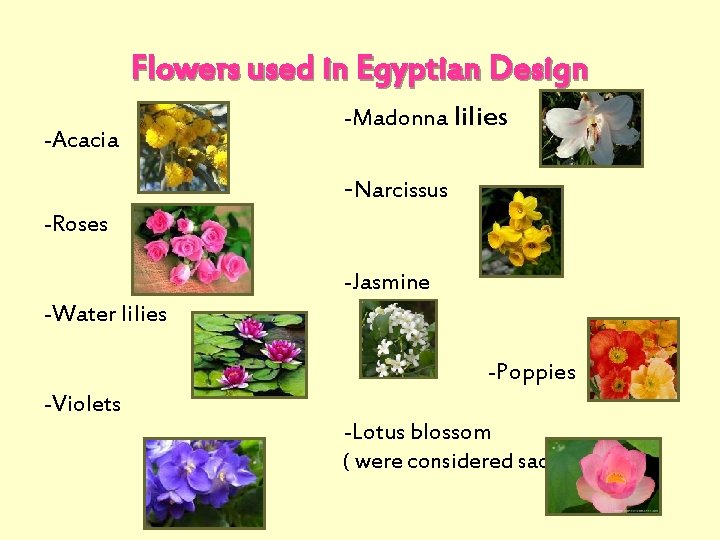 Flowers used in Egyptian Design -Acacia -Madonna lilies -Narcissus -Roses -Jasmine -Water lilies -Poppies