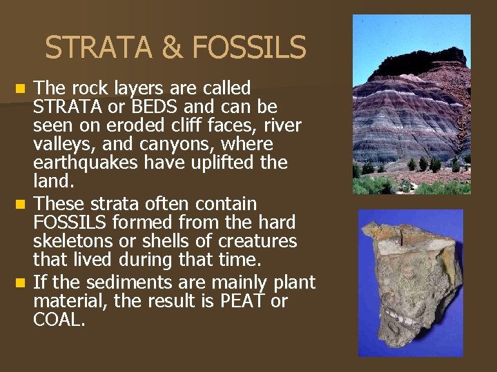 STRATA & FOSSILS The rock layers are called STRATA or BEDS and can be