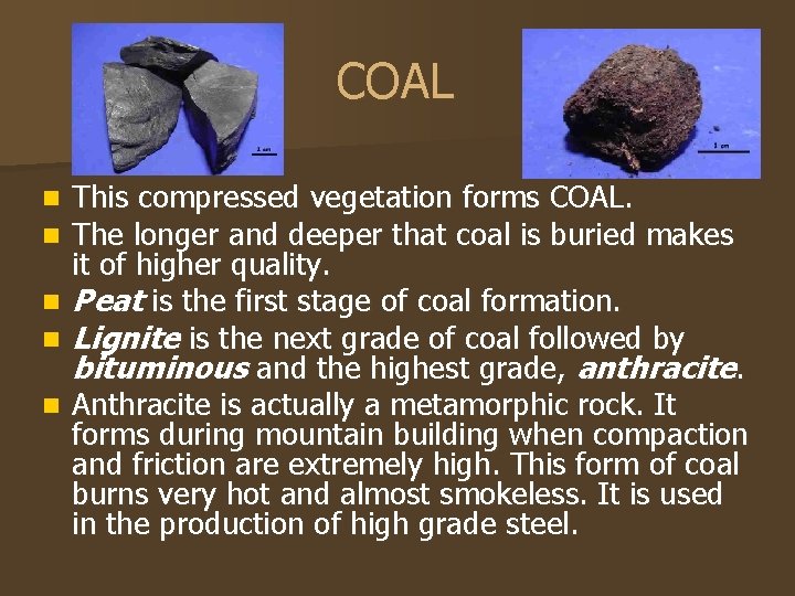 COAL n n n This compressed vegetation forms COAL. The longer and deeper that