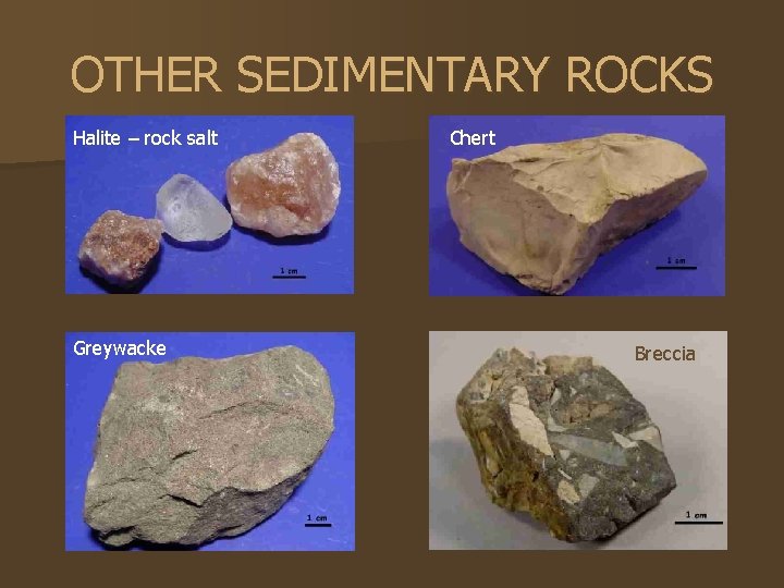 OTHER SEDIMENTARY ROCKS Halite – rock salt Greywacke Chert Breccia 