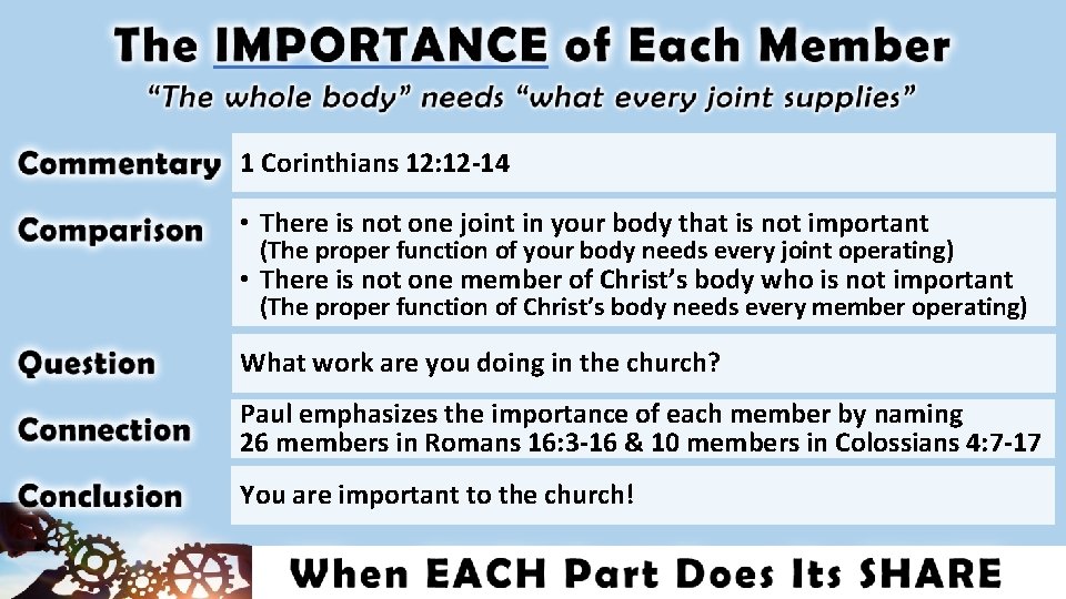 1 Corinthians 12: 12 -14 • There is not one joint in your body