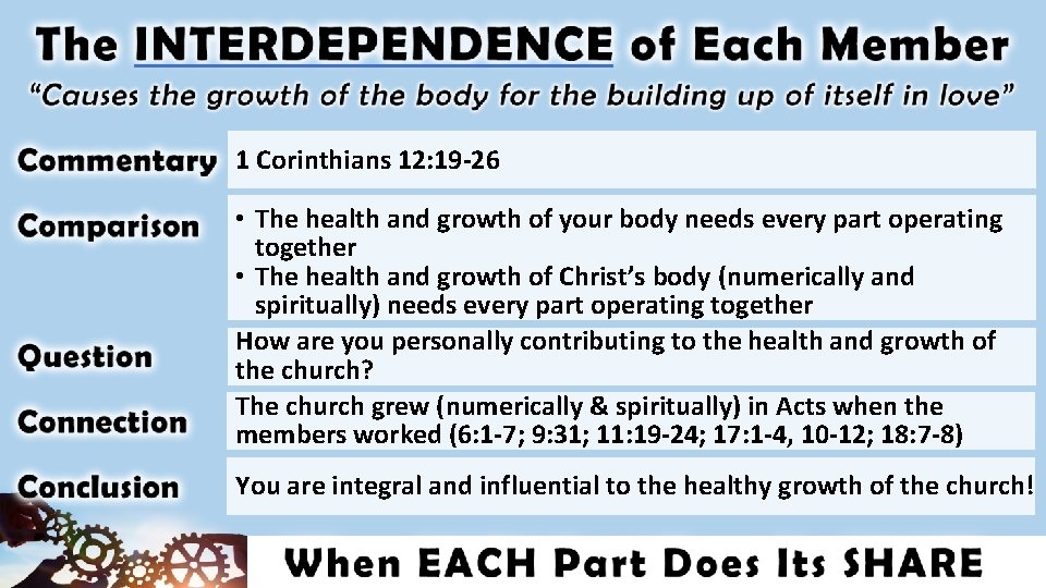 1 Corinthians 12: 19 -26 • The health and growth of your body needs