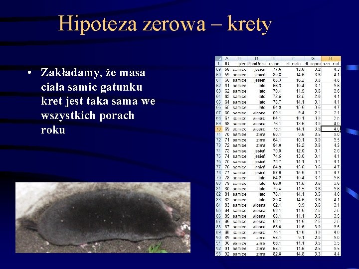 Hipoteza zerowa – krety • Zakładamy, że masa ciała samic gatunku kret jest taka