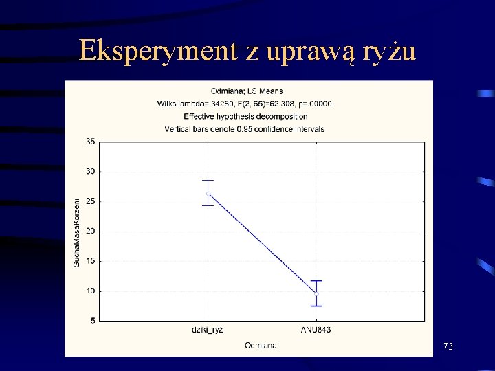 Eksperyment z uprawą ryżu 73 