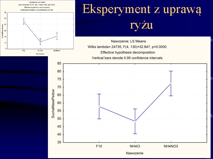 Eksperyment z uprawą ryżu 75 