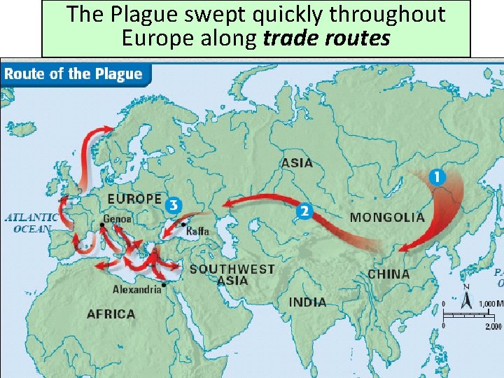 The Plague swept quickly throughout Europe along trade routes 