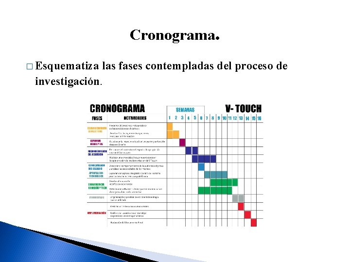 Cronograma. � Esquematiza las fases contempladas del proceso de investigación. 