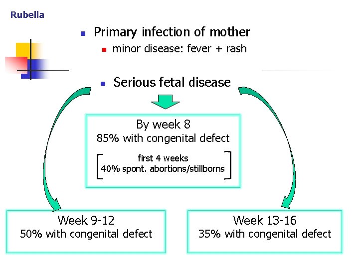 Rubella n Primary infection of mother n minor disease: fever + rash n Serious