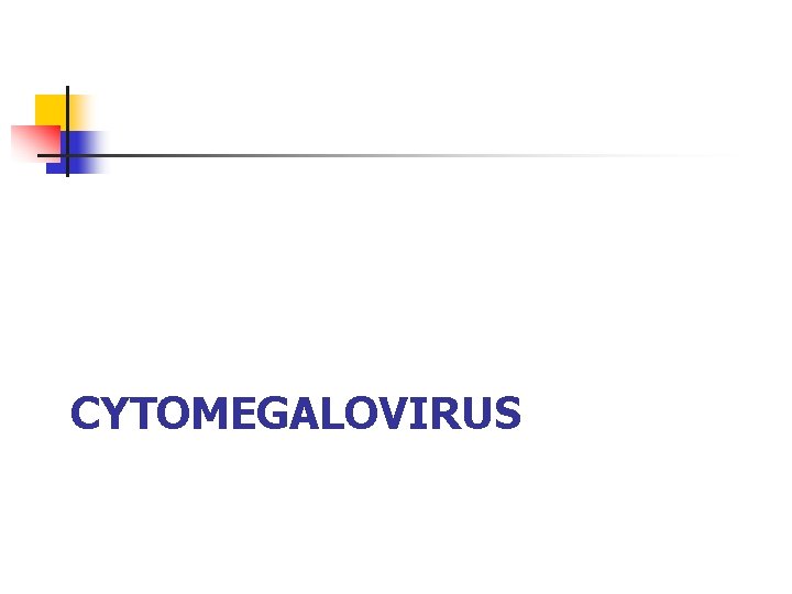 CYTOMEGALOVIRUS 