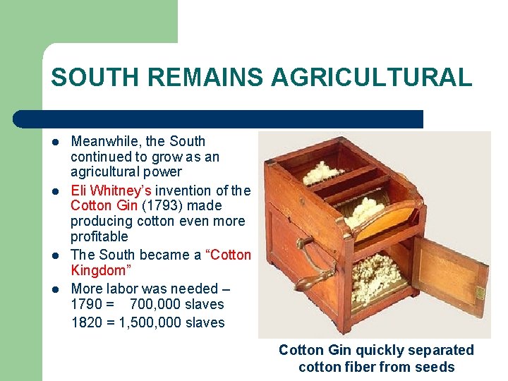 SOUTH REMAINS AGRICULTURAL l l Meanwhile, the South continued to grow as an agricultural