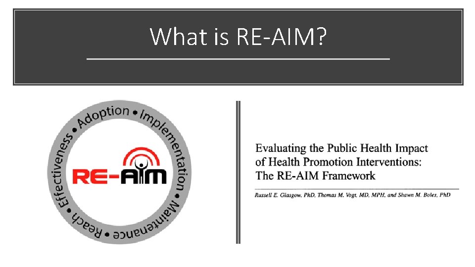What is RE-AIM? 