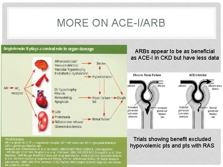 MORE ON ACE-I/ARB ARBs appear to be as beneficial as ACE-I in CKD but