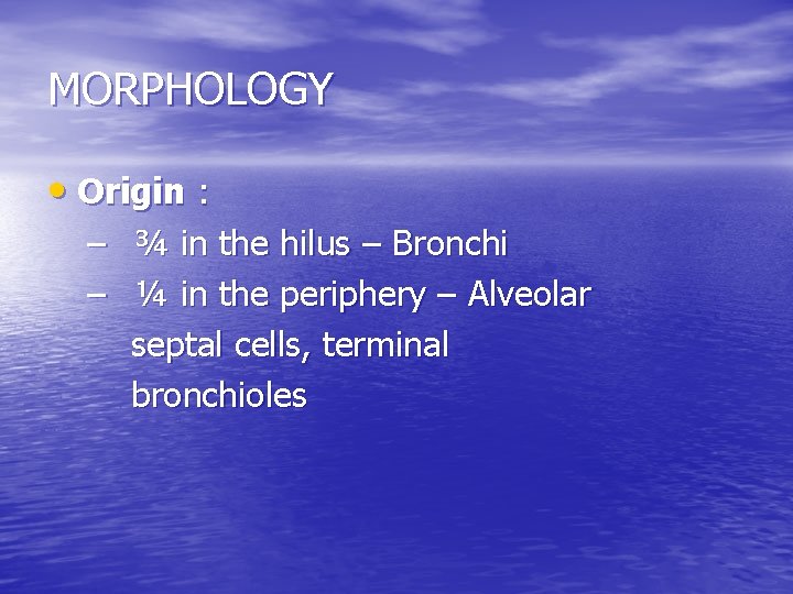 MORPHOLOGY • Origin : – ¾ in the hilus – Bronchi – ¼ in