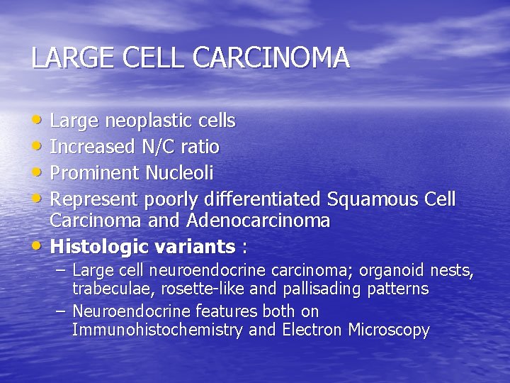LARGE CELL CARCINOMA • Large neoplastic cells • Increased N/C ratio • Prominent Nucleoli