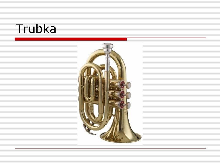 Trubka 