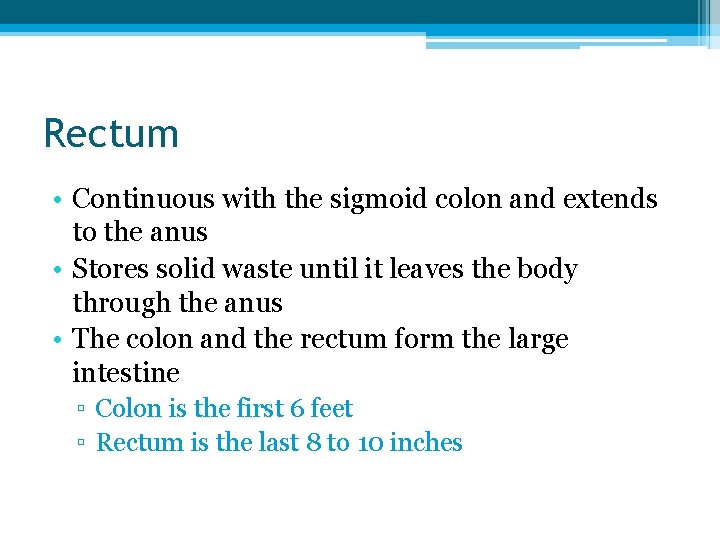 Rectum • Continuous with the sigmoid colon and extends to the anus • Stores