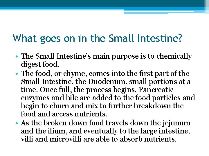 What goes on in the Small Intestine? • The Small Intestine’s main purpose is