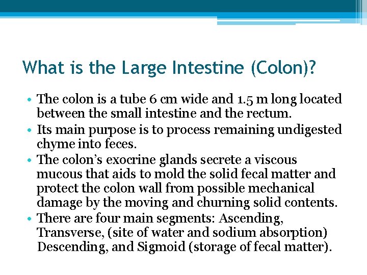 What is the Large Intestine (Colon)? • The colon is a tube 6 cm