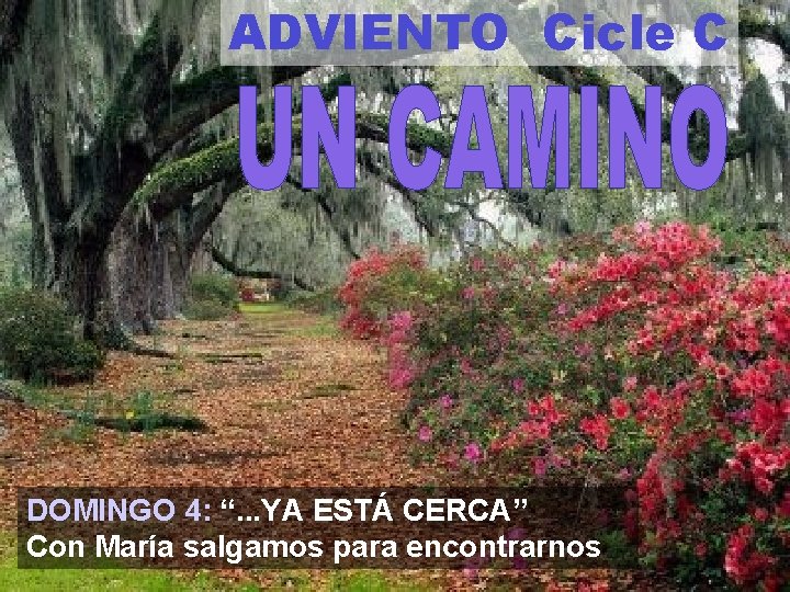 ADVIENTO Cicle C DOMINGO 4: “. . . YA ESTÁ CERCA” Con María salgamos