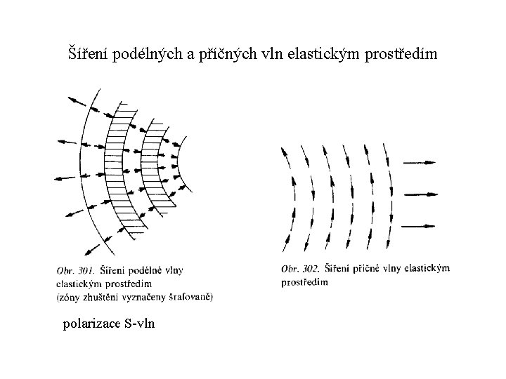 Šíření podélných a příčných vln elastickým prostředím polarizace S-vln Šíření podélných a příčných vln elastickým prostředím polarizace S-vln