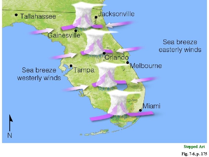 Stepped Art Fig. 7 -6, p. 175 Stepped Art Fig. 7 -6, p. 175