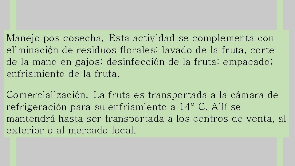 Manejo pos cosecha. Esta actividad se complementa con eliminación de residuos florales; lavado de