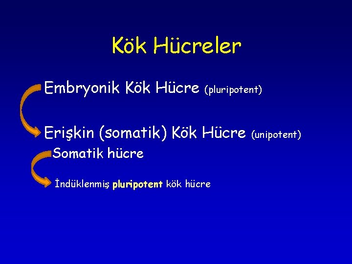 Kök Hücreler Embryonik Kök Hücre (pluripotent) Erişkin (somatik) Kök Hücre Somatik hücre İndüklenmiş pluripotent Kök Hücreler Embryonik Kök Hücre (pluripotent) Erişkin (somatik) Kök Hücre Somatik hücre İndüklenmiş pluripotent