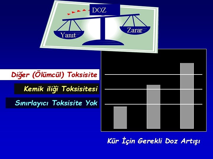 DOZ Yanıt Zarar Diğer (Ölümcül) Toksisite Kemik iliği Toksisitesi Sınırlayıcı Toksisite Yok Kür İçin DOZ Yanıt Zarar Diğer (Ölümcül) Toksisite Kemik iliği Toksisitesi Sınırlayıcı Toksisite Yok Kür İçin